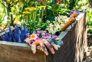 Read more about the article What is the Best Wood for a Planter Box? 