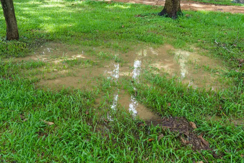You are currently viewing How to Fix a Muddy Yard: The Ultimate Guide